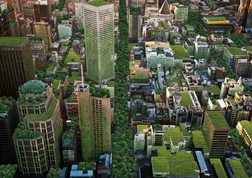 The Impact of Green Roofs – An article by the National Green Roof Association