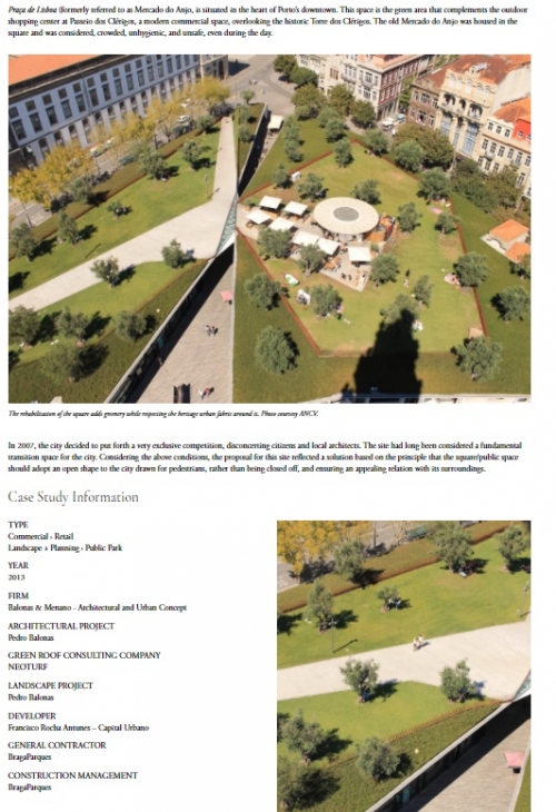 A Historic Square Revitalized with an Olive Grove Green Roof in Porto, Portugal - A Country Embracin