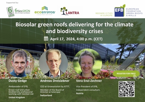 EFB webinar “Biosolar green roofs delivering for the climate and biodiversity crises“