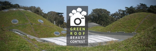GREEN ROOF PHOTOGRAPHY CONTEST